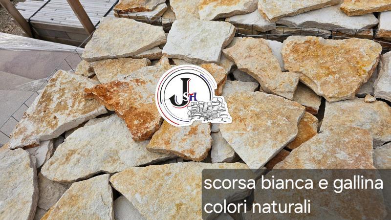 Scorza Bianca e Gallina